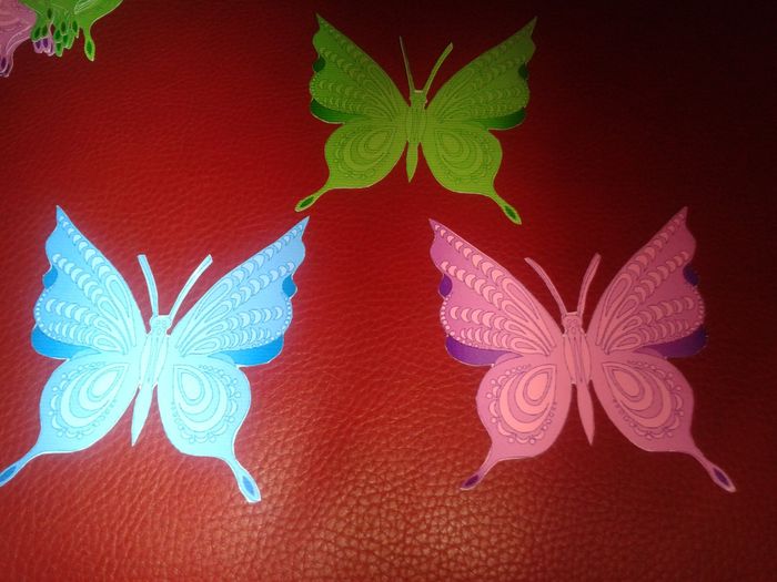 MARIPOSAS