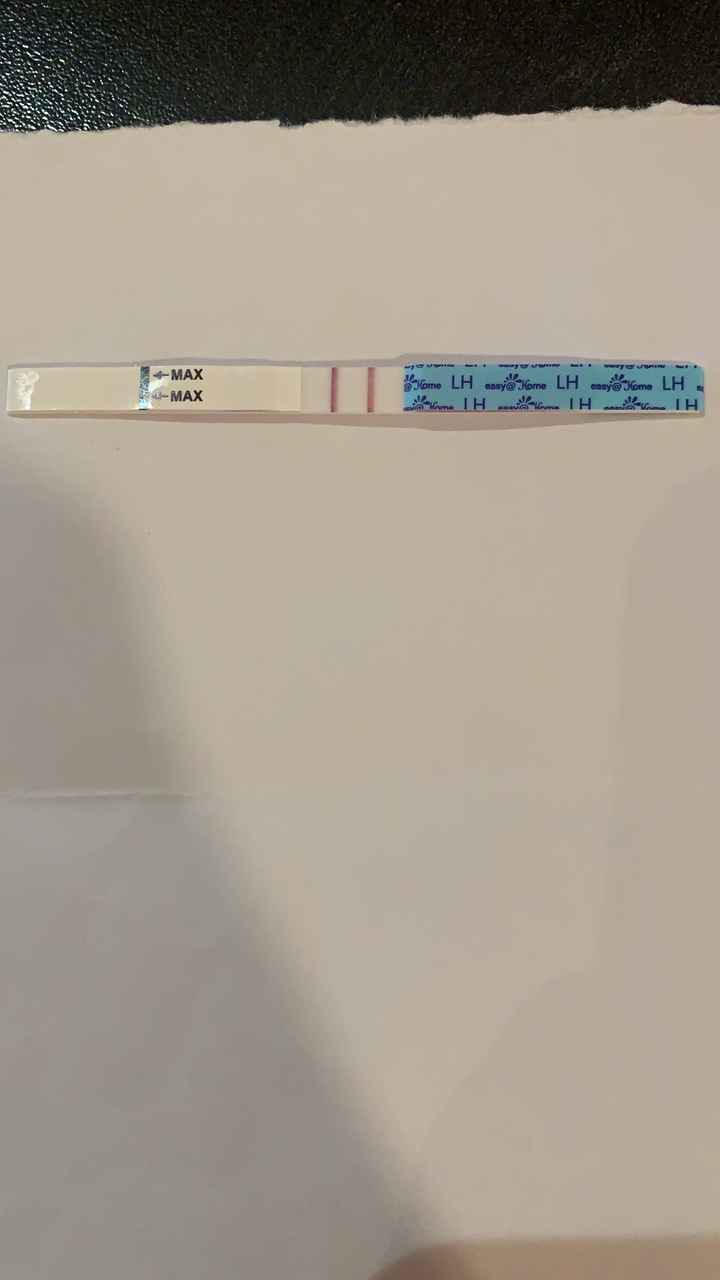 Buscadoras Marzo 2021 💪💘👶🏻 - 1