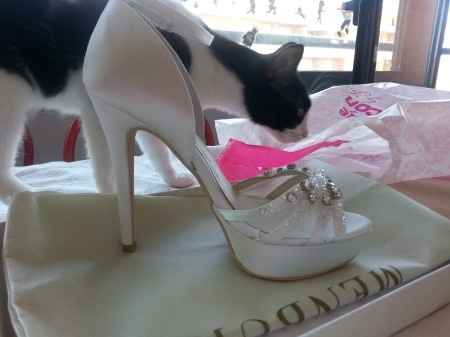 Los zapatos de todas las novias! - 1