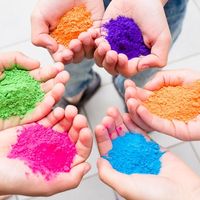 polvos holi
