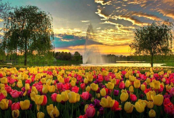 Jardín Botánico de Chicago