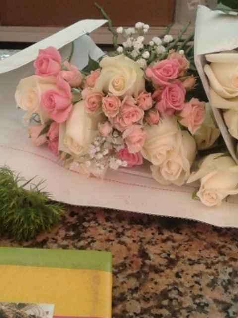 Mis flores! - 1