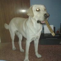Thor !!