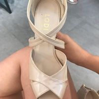 Ayuda modelo lodi - 1