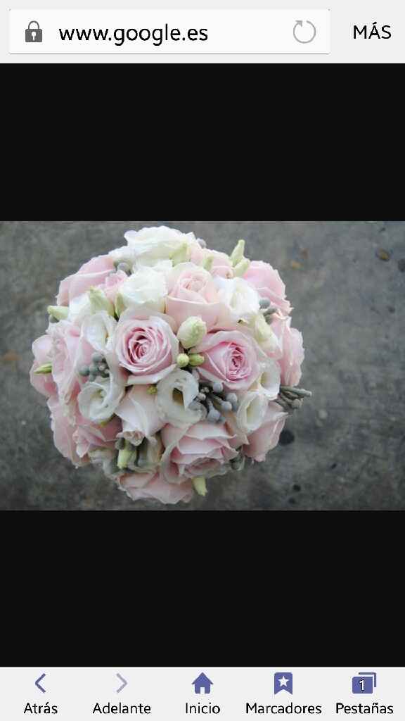 Lodi goya pink o celeste - 1