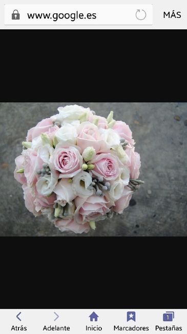 Lodi goya pink o celeste - 1