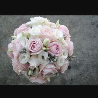 Lodi goya pink o celeste - 1