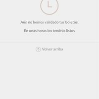 ¿quien valida los boletos? - 1