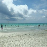Algas rivera maya - 1