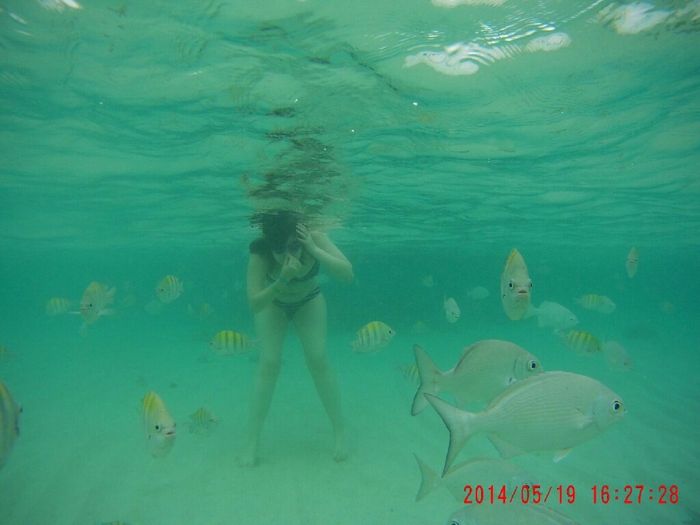 Necesito ayudaaaaa hotel riviera maya - 1