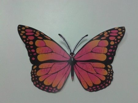 mariposa 1