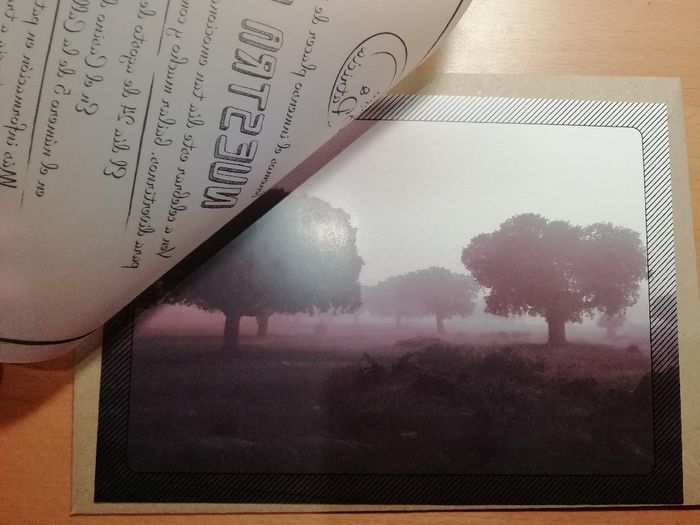 Nuestras Invitaciones - 4
