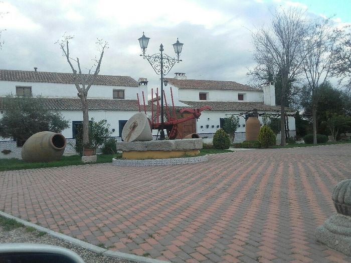 Finca julio de llanos - 2