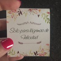 Seca lágrimas - 1