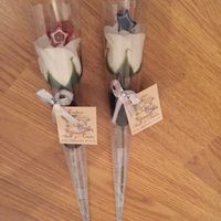 Mis alfileres en rosa de jabon - 1