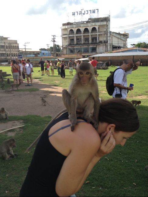 En el templo Phra Prang Sam Yot en Lopburi