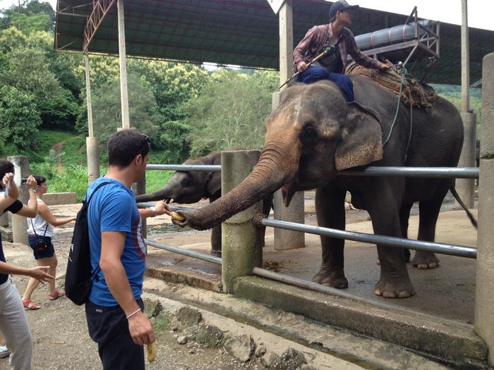 Tailandia (honey moon) - circuito (sur-norte) - vol. 2 - 8