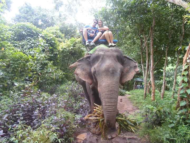 Montados en elefante en el Maetang Park de Chiang Mai 