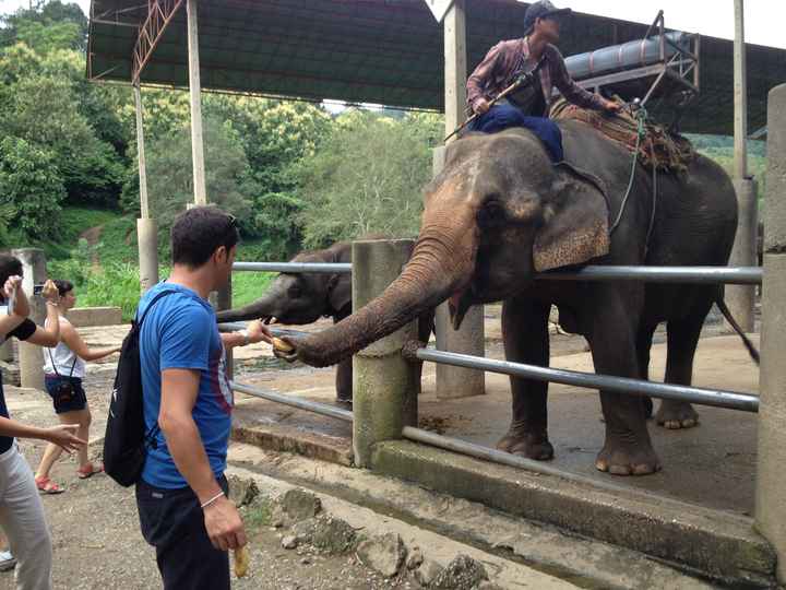 Tailandia (honey moon) - circuito (sur-norte) - vol. 2 - 8