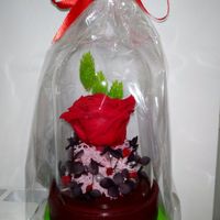 Nos decidimos comprar 2 cúpulas con la rosa eterna para las madres en vez de los típicos ramos.