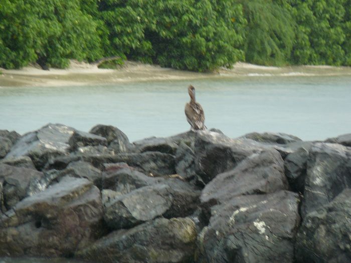 PUERTO RICO