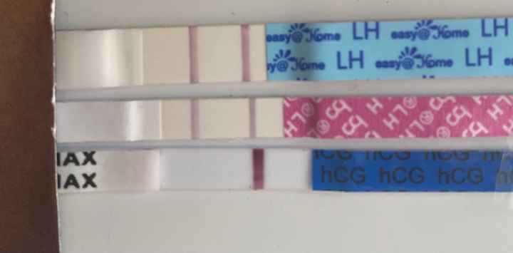 Hola chicas soy nueva,este test como le veis..? - 1