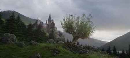 Ayuda!!!Para los fans de Harry Potter - 1