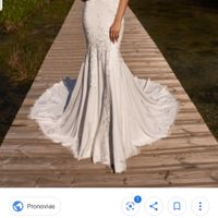 Duda entre vestidos Pronovias - 1