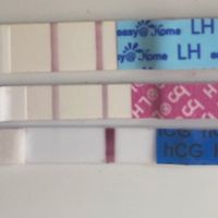Hola chicas soy nueva,este test como le veis..? - 1