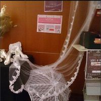 VELO CLARA NOVIAS
