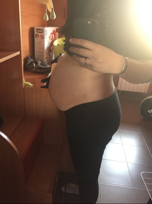 28 semanas