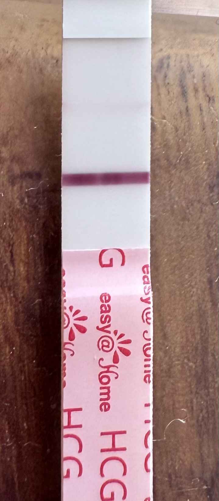 ✨️🤍 Buscadoras Octubre 🤍✨️ - 1