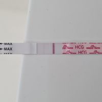 Buscadoras Octubre 2022 - 1