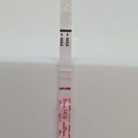 Buscadoras Octubre 2022 - 1