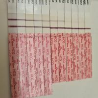 Futuras Mamás Noviembre y Diciembre - 2