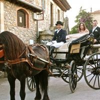 Viaje en calesa