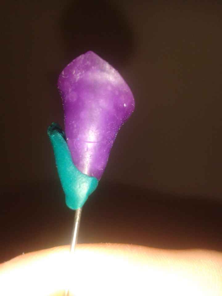 Foto 4 horneados