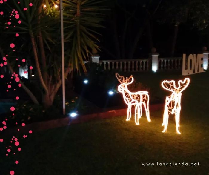 Decoracion boda diciembre - 2