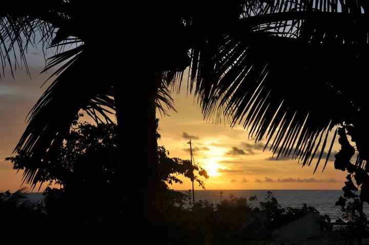 Palmera y puesta de sol