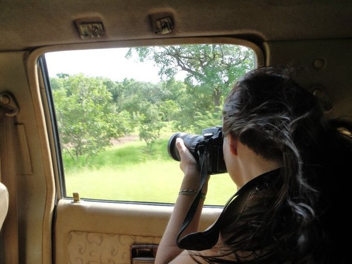 De Safari