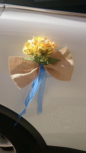 Detalles coche