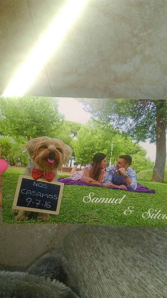 Invitaciones con vuestra mascota - 1