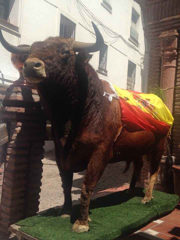 Perdida jejeje - 38