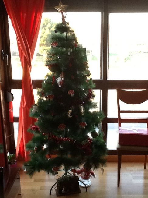 Nuestro árbol 