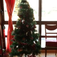 Nuestro árbol 