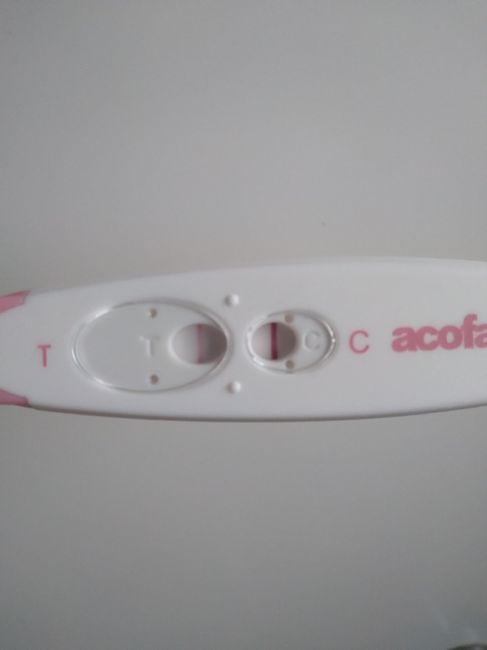 Buscadoras Enero 2021 🌼💞🤰🏼 - 1