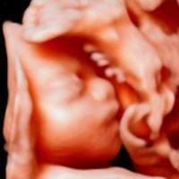 Futuras mamas septiembre 2021🤰🤱 - 2