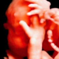 Futuras mamas septiembre 2021🤰🤱 - 3
