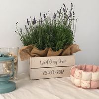Cajas de fresas - 1