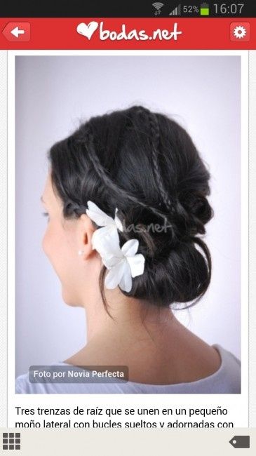 Recogidos con trenza - 2